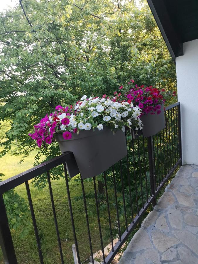 Stari Trsic Apartment Exterior photo