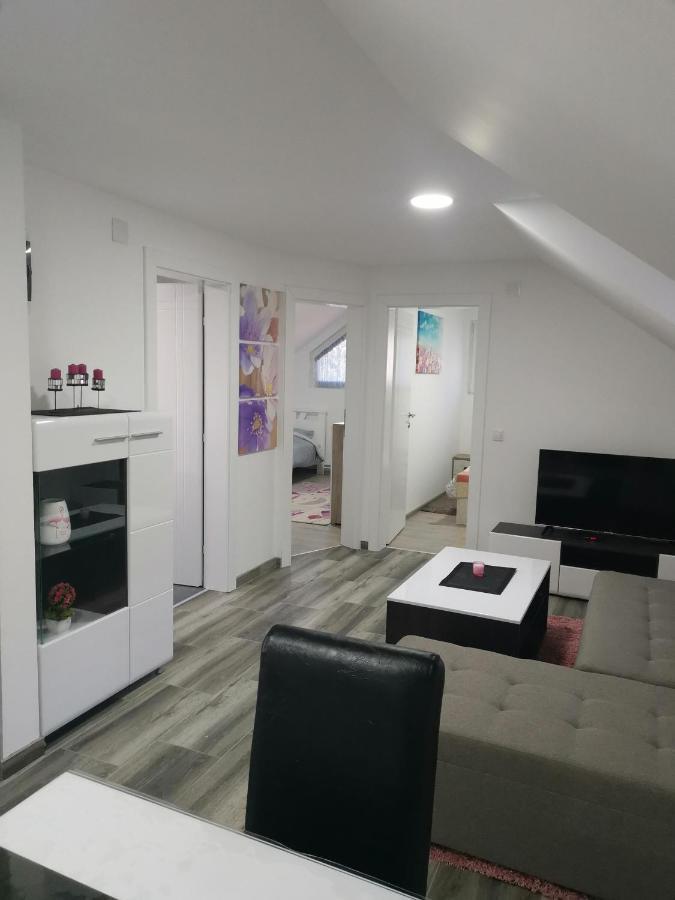Stari Trsic Apartment Exterior photo